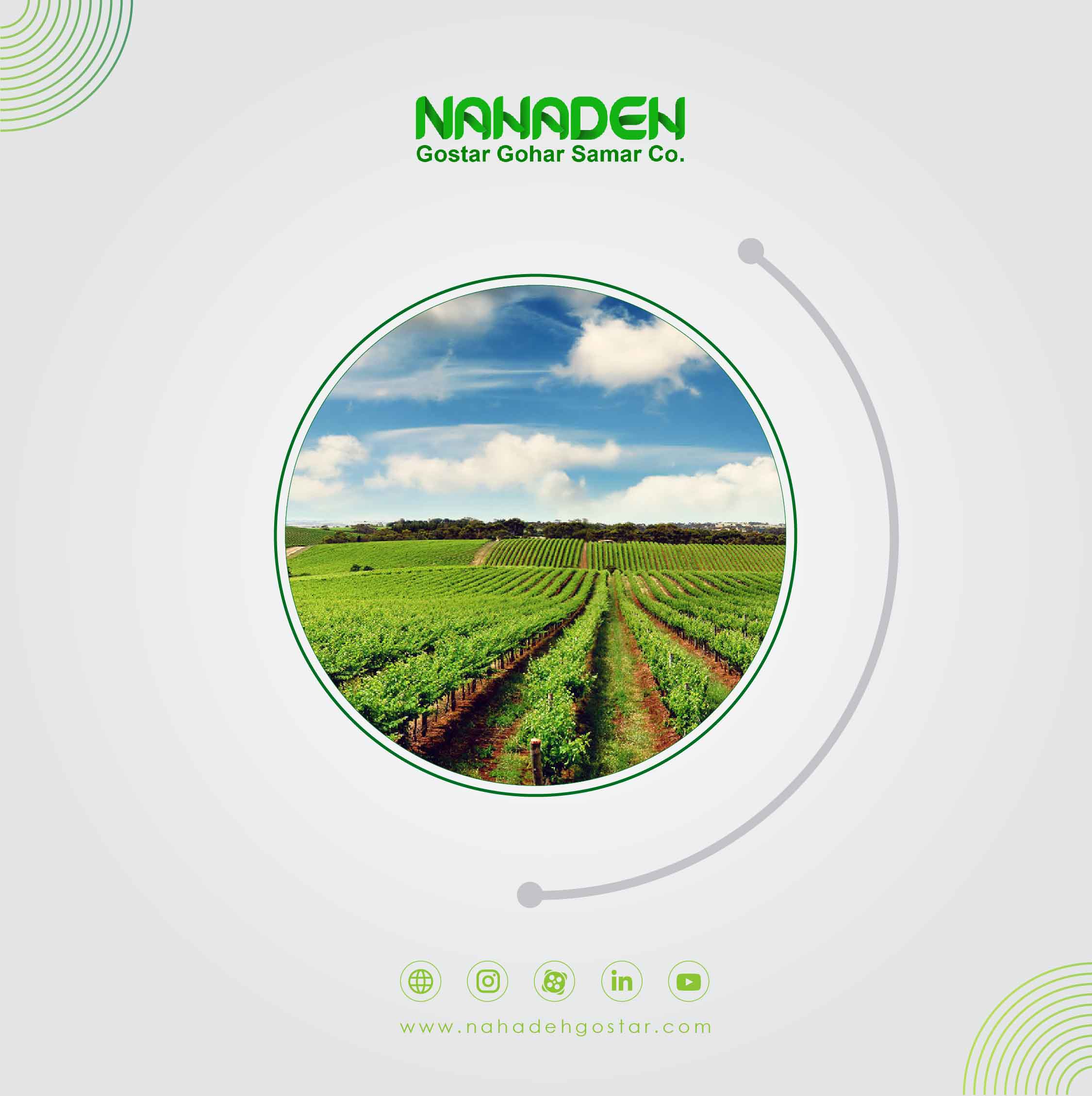 A brief look at 17 years of experience